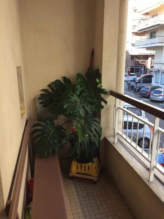 Apartment With 2 Bedrooms in Nice, With Balcony and Wifi - 1 km From t - photo 9