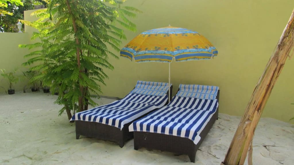 Whale Shark Inn Maldives - photo 12