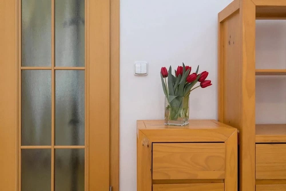 Spasious Apartment in Prague - photo 3