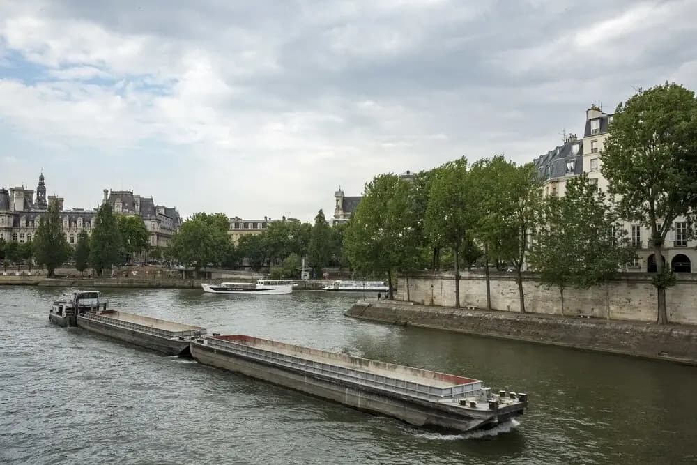 Classical on Île de la Cité - photo 15