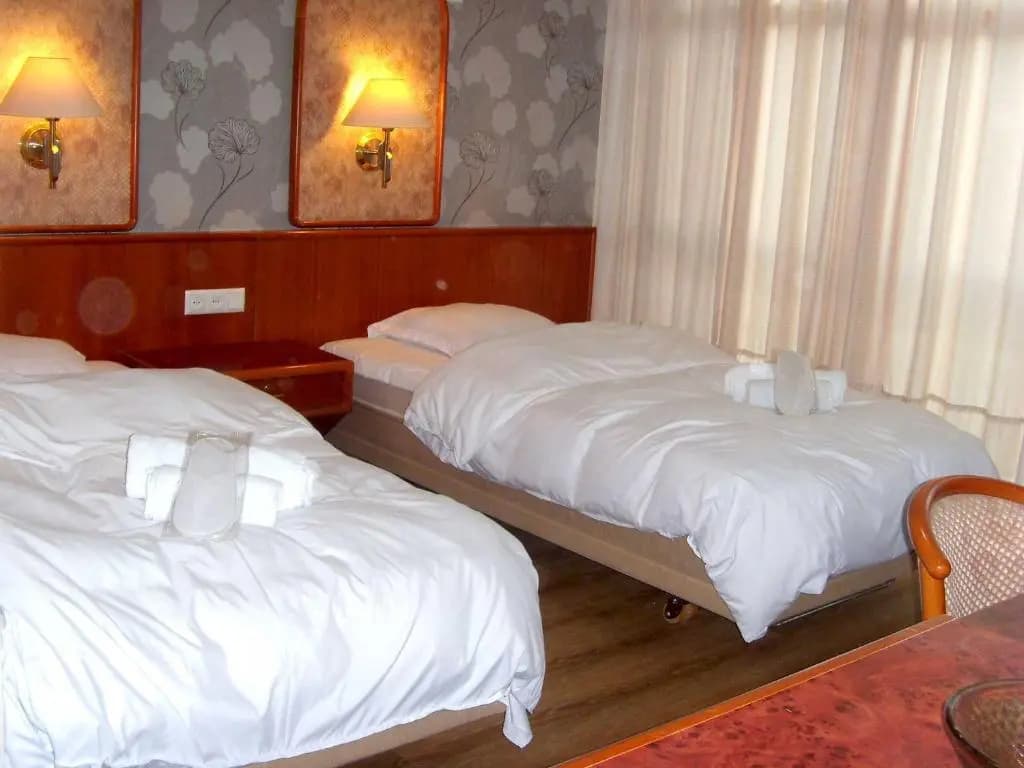 Hotel Nadikvari - photo 3