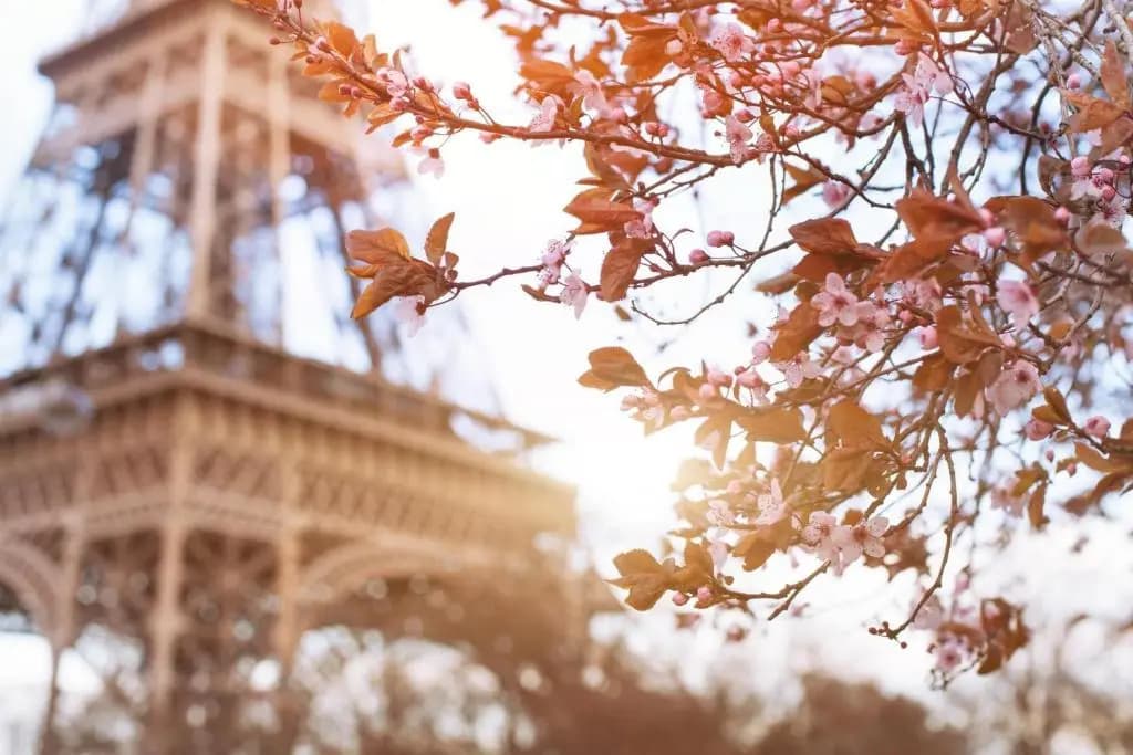 Timhotel Tour Eiffel - photo 50