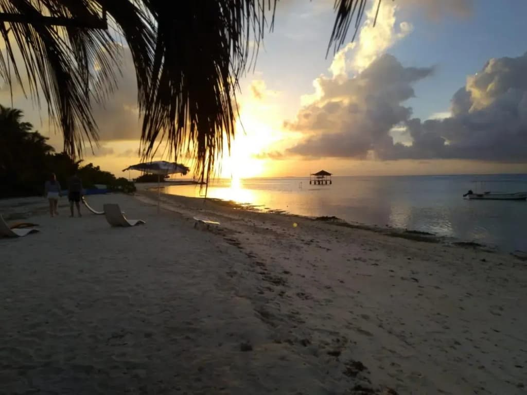 Eyotwave - photo 15