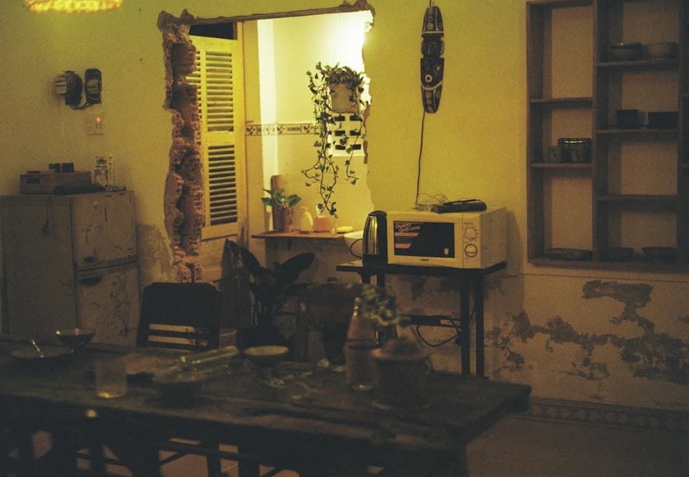 Merin - photo 8