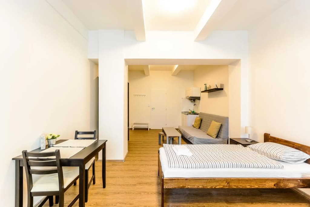 Zizkov Cosy Studio Apartments - photo 2