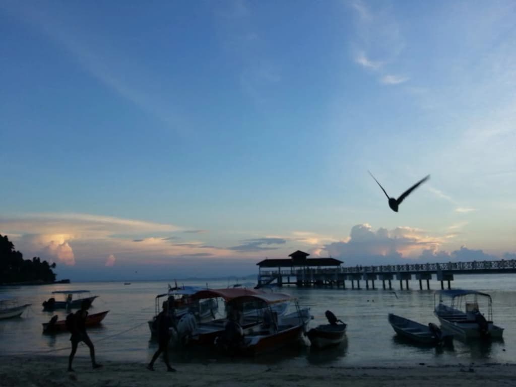 Ombak Dive Resort - photo 16