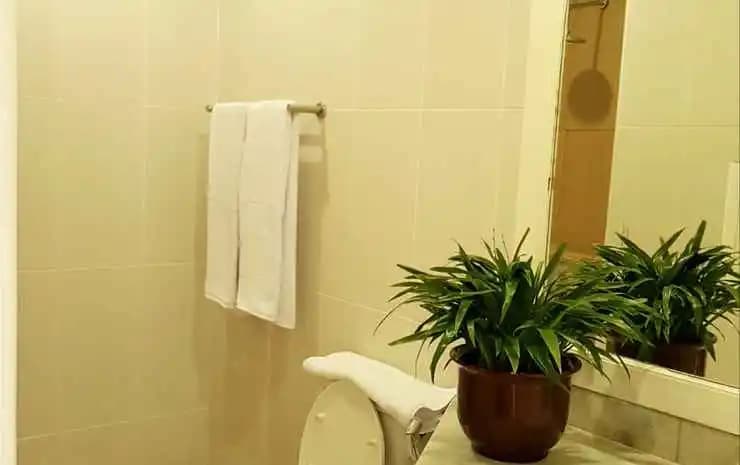 Cilandak Hotel & Apartment - photo 8