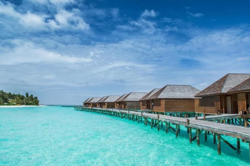 Veligandu Maldives Resort Island Resort - photo 23