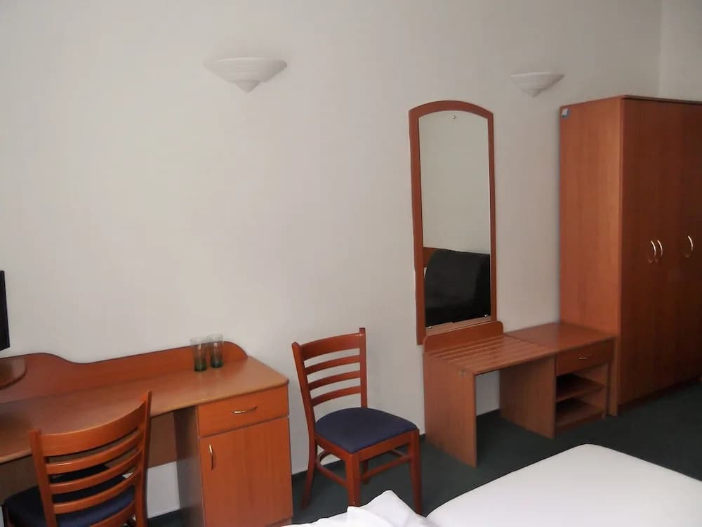 Elen's Hotel Arlington Prague - photo 4