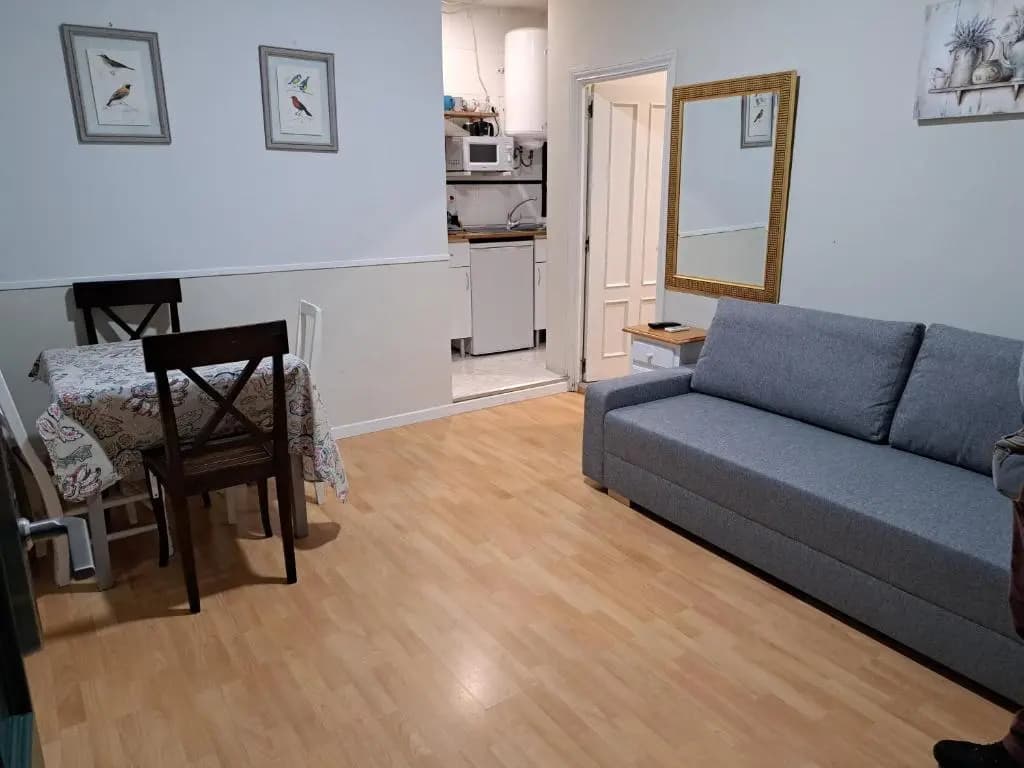 Apartamentos Mayor Centro - photo 2