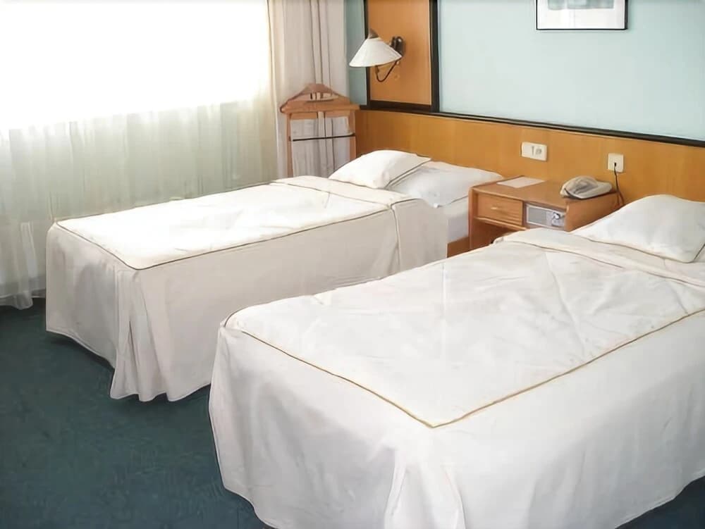 Hotel Cechie Praha - photo 3