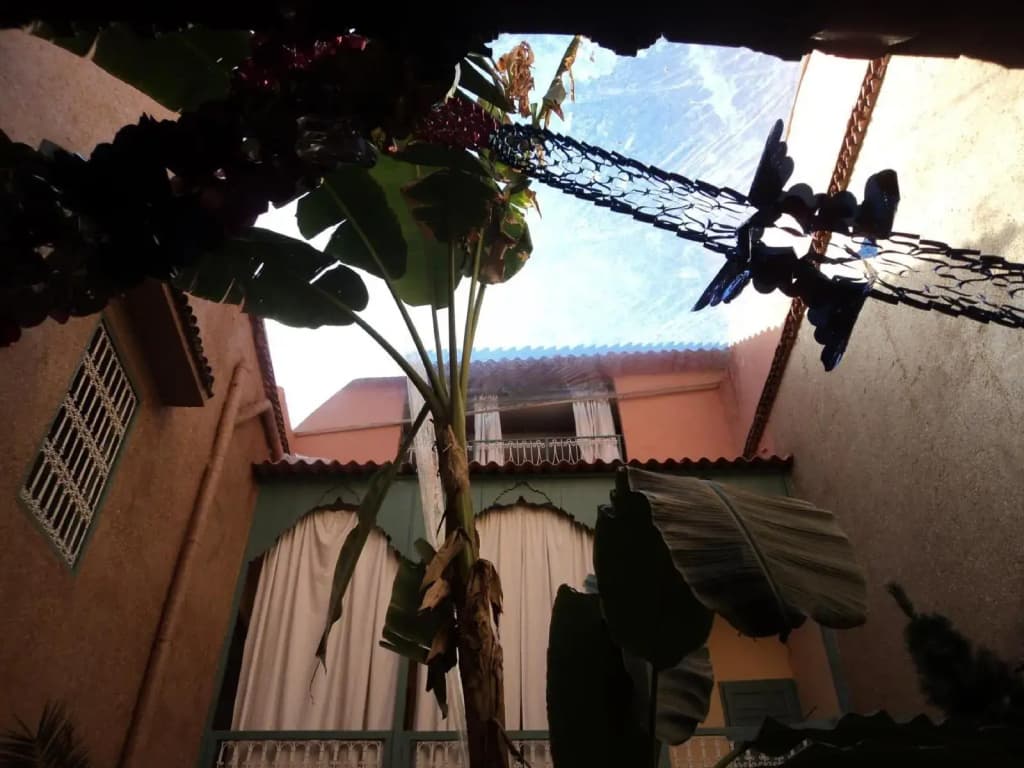 Dar M'chicha - photo 6