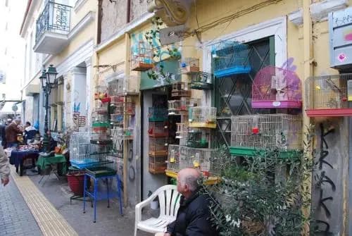Boutique Athens EP9 Building - photo 14