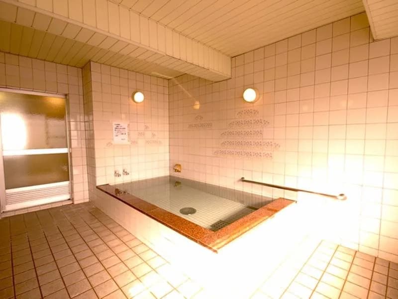 Wakamiya - photo 21