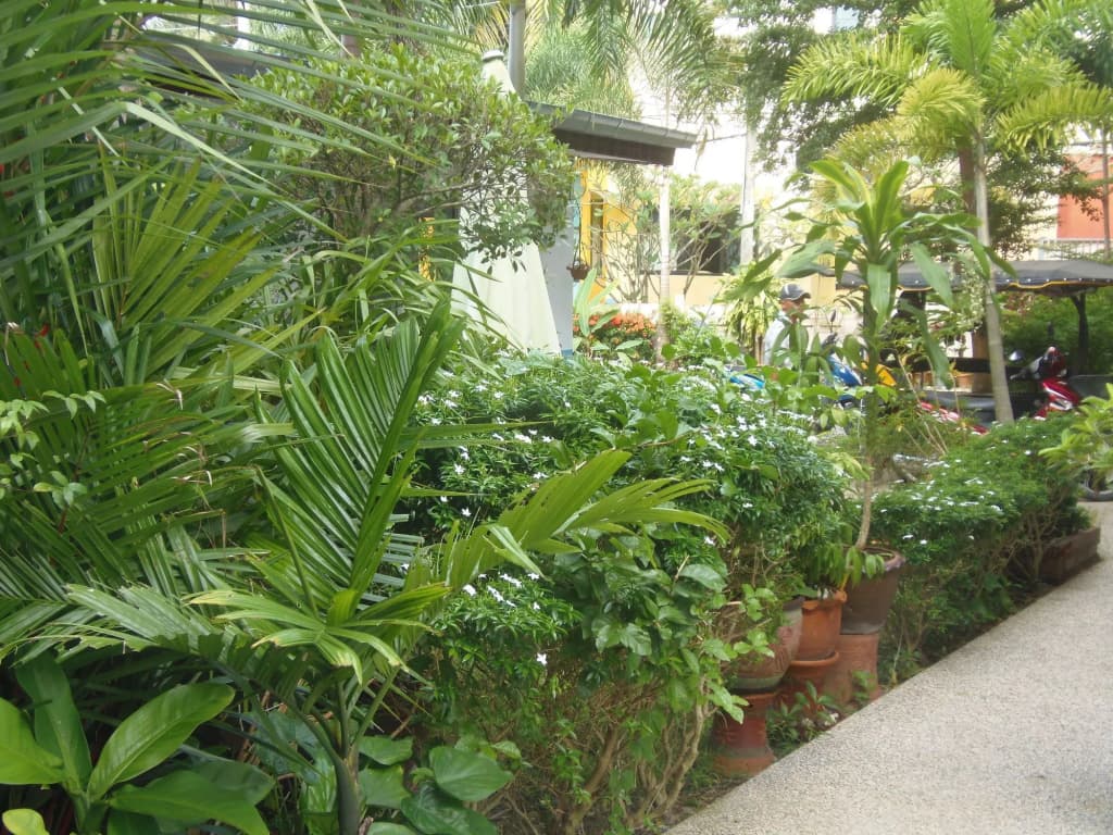 The Orange City Resort - photo 26