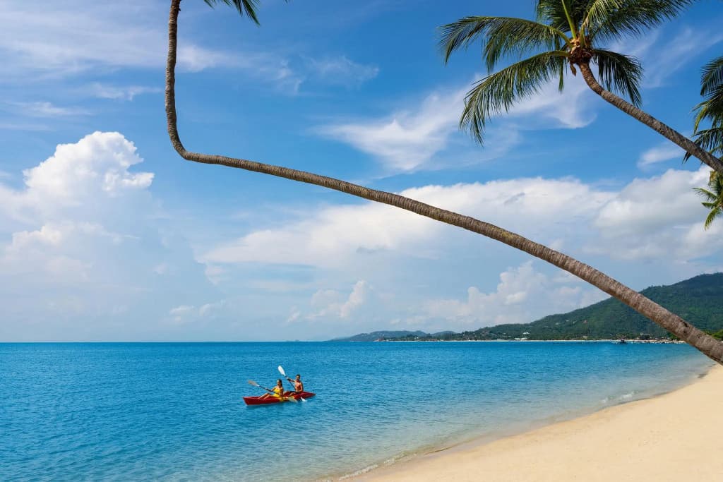 The Lamai Samui - photo 20