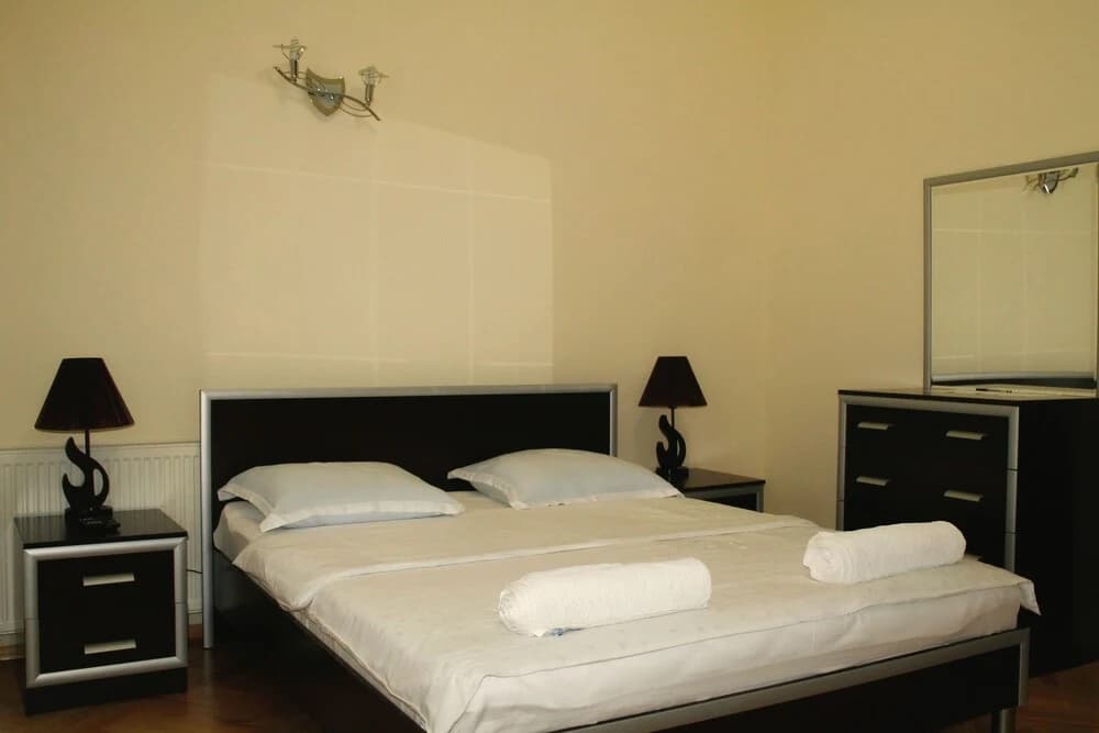 Star Hotel Tbilisi - photo 3