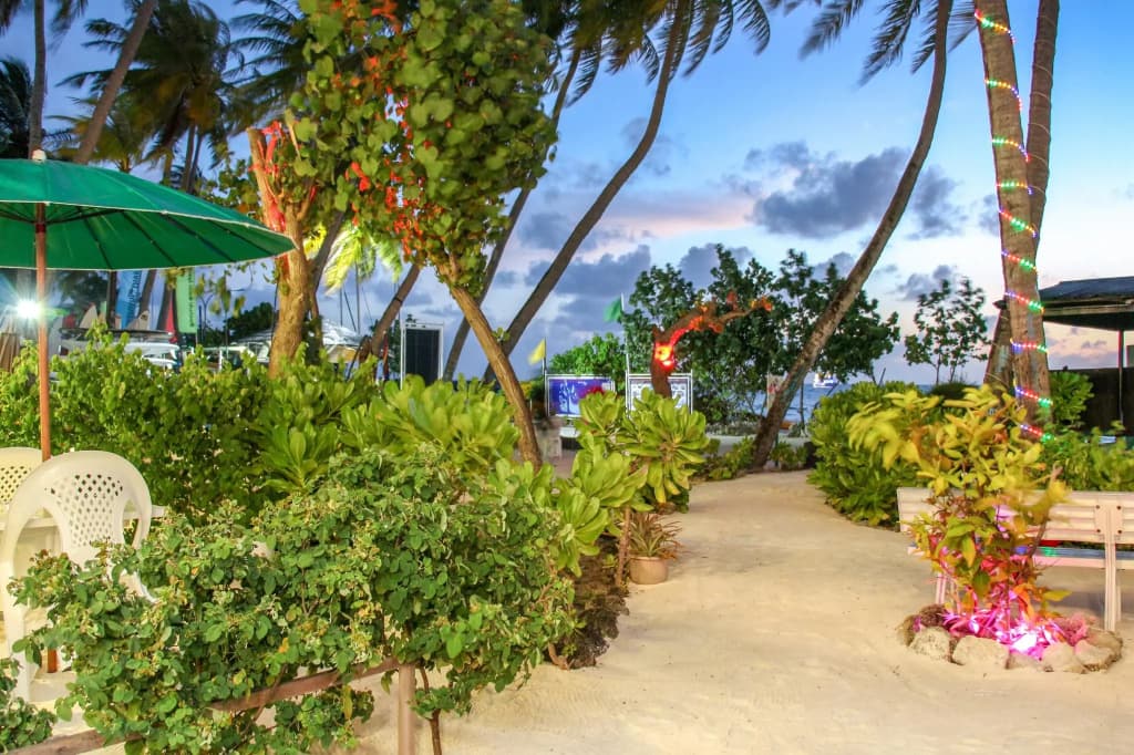 Salt Beach Hotel - photo 24