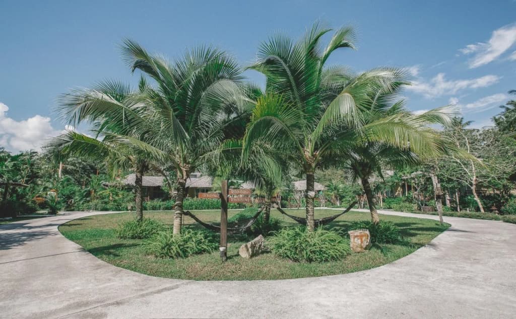 Ban Sainai Resort - photo 21