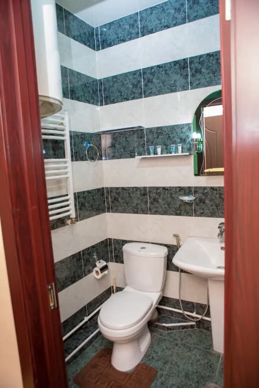 Vera Gold Inn Hotel - photo 9