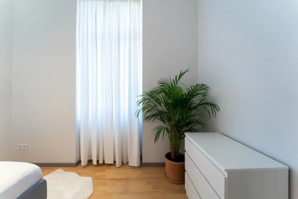 Beautiful and Sunny 2bdr Apartment - photo 2