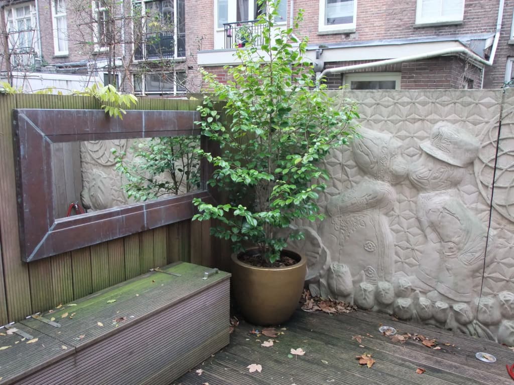 Cityden Museum Square - photo 16