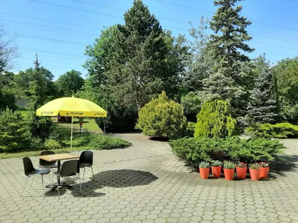 Hotel Lenas West - photo 10