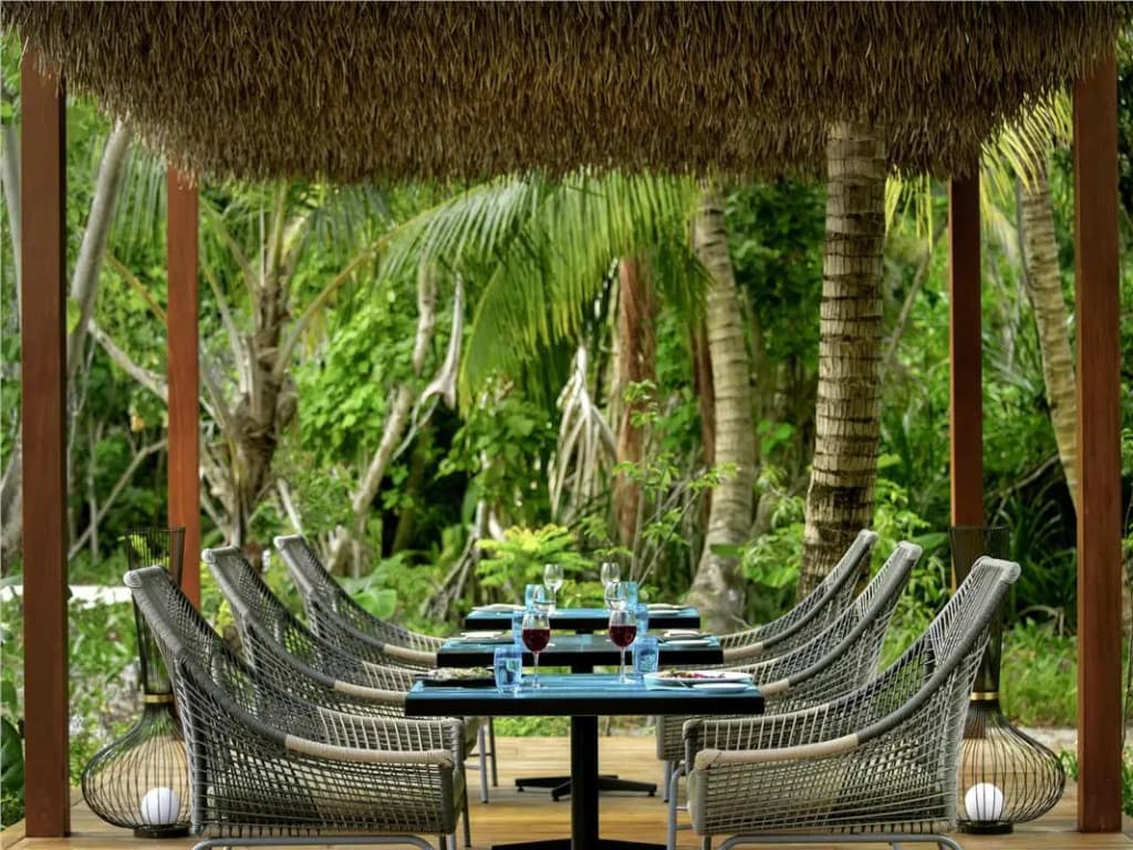 Pullman Maldives Resort - photo 17