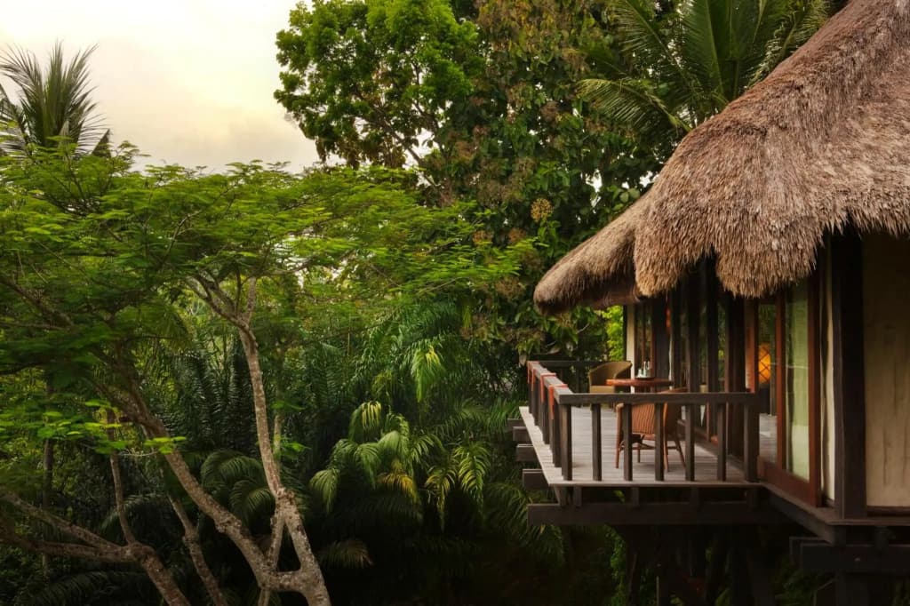 Como Shambhala Estate Resort - photo 40
