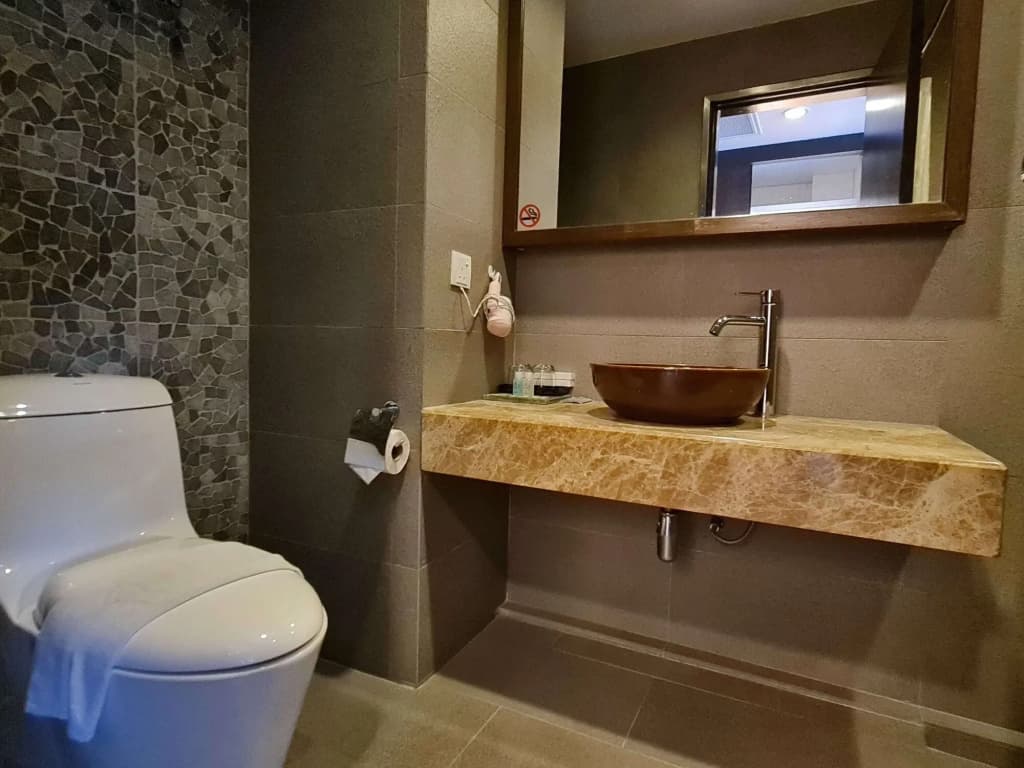 Swan Garden Hotel - photo 9