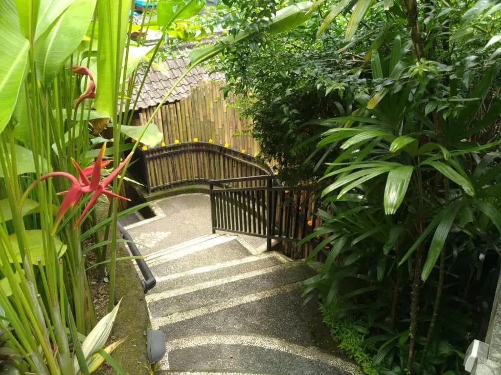 Rumah Kelinci - photo 18