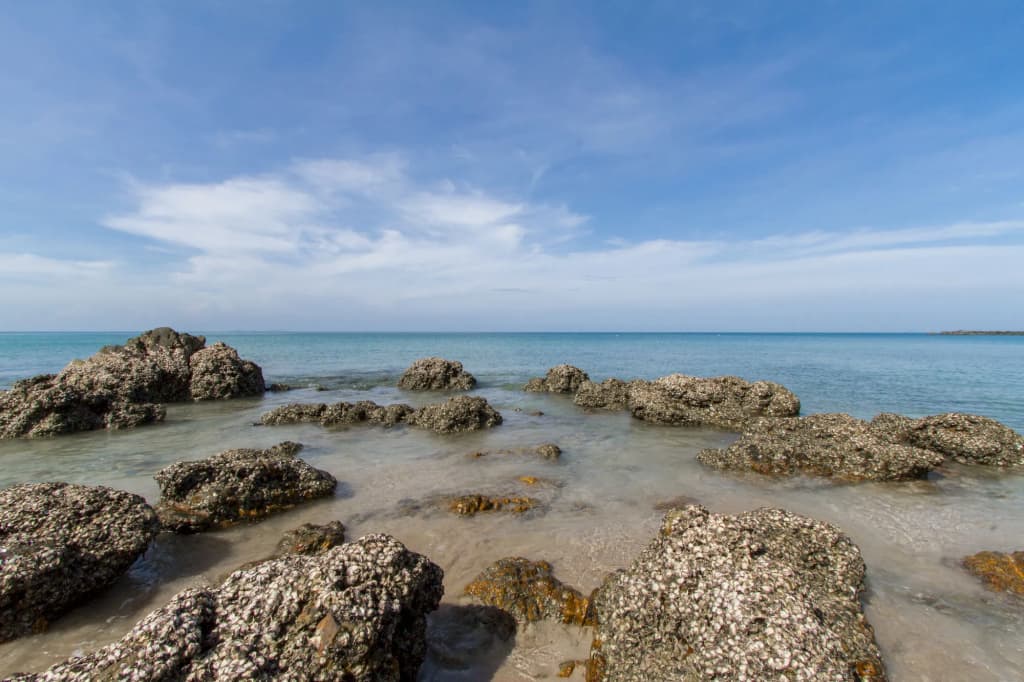 Anda Lanta Resort - photo 16