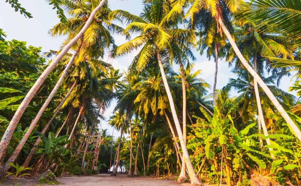 Villa Kamadhoo - photo 9