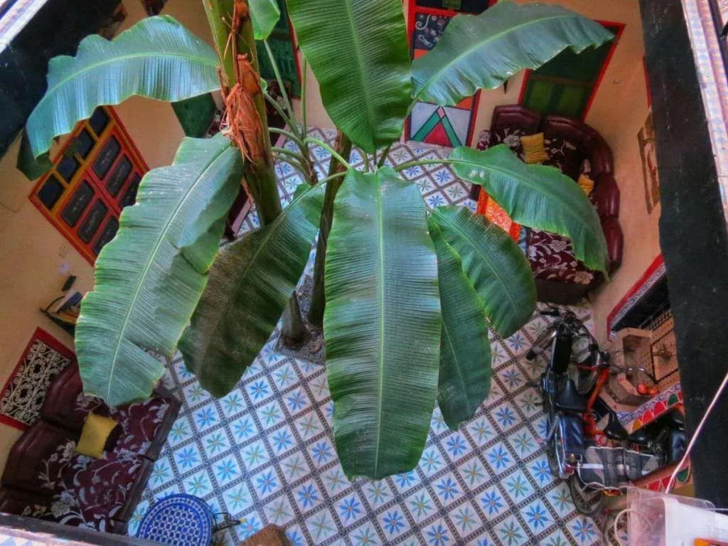 Riad Espagne - photo 7