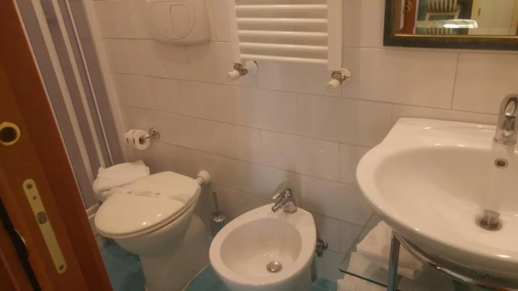 Hotel Piemonte - photo 29