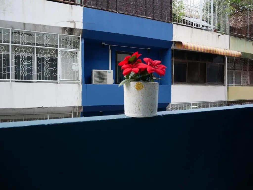 Np House - photo 1