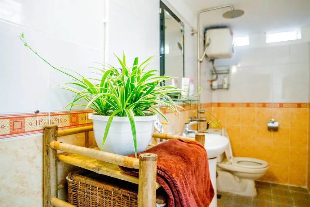 Homestay in Centre Hanoi Hoan Kiem - photo 8