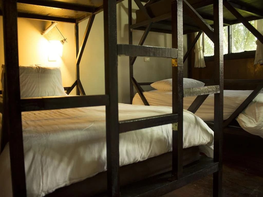 Jungle Gym & Eco Lodge - Hostel - photo 2