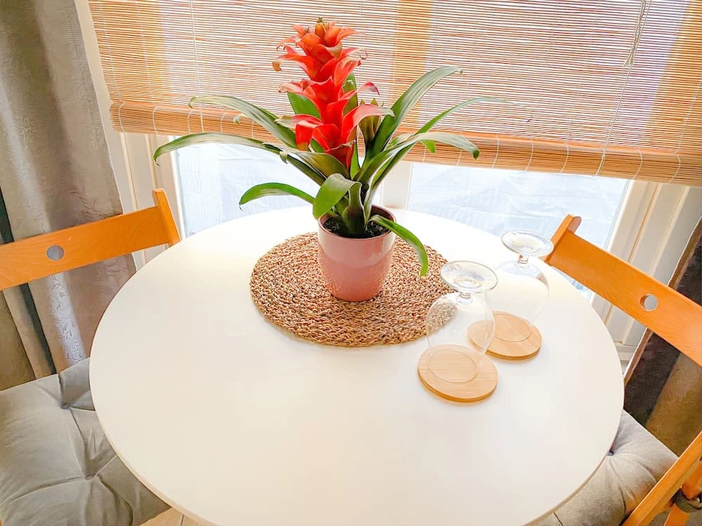 Edson Guesthouse - photo 10