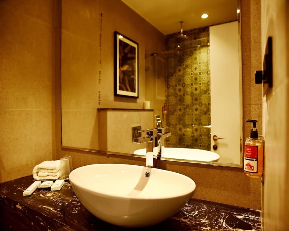 Hotel Rani Castle - photo 9