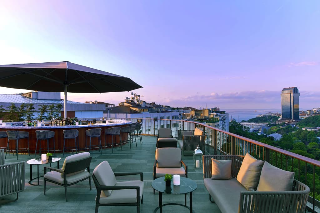 The St. Regis Istanbul - photo 24