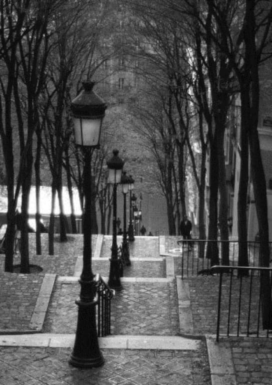 Regina Montmartre Hotel  - photo 43