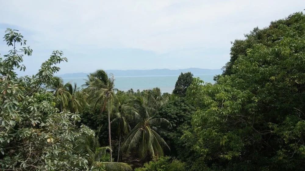 Meridian Khao Tam Bungalow - photo 2