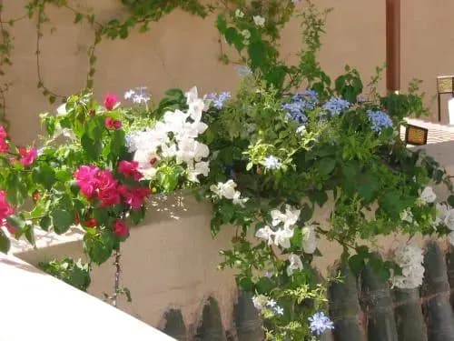 Riad Azzar - photo 18