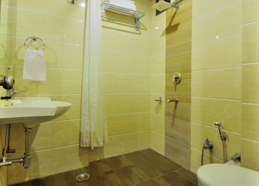 Hotel The Raj, New Delhi - photo 8
