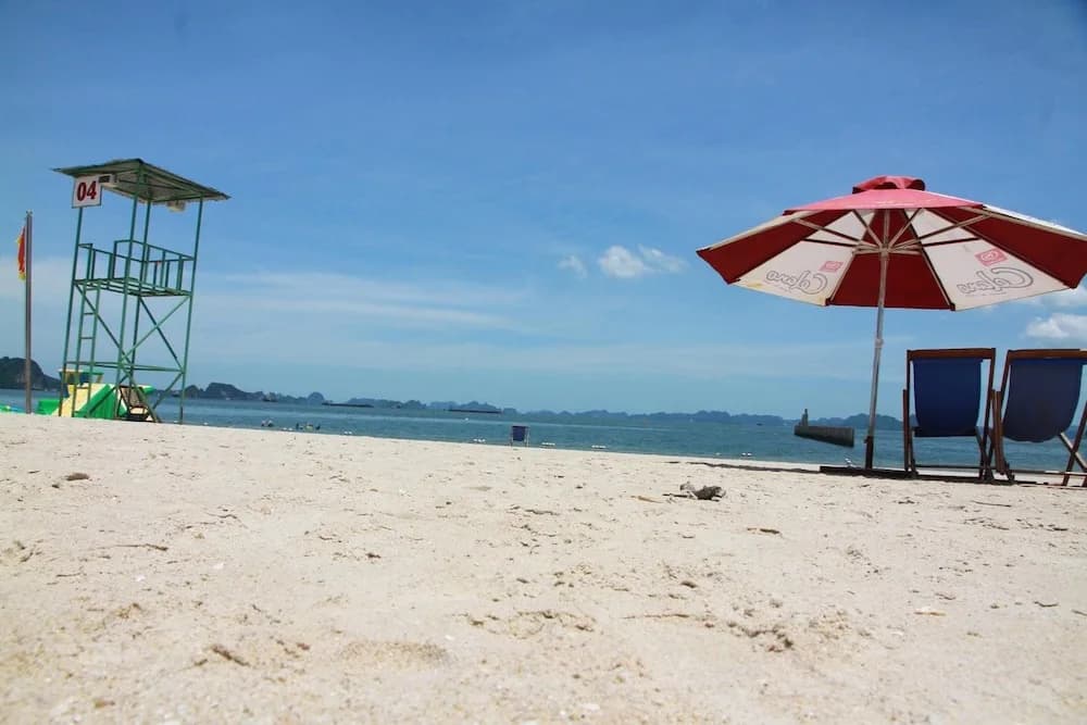 The Marine Hotel - photo 31