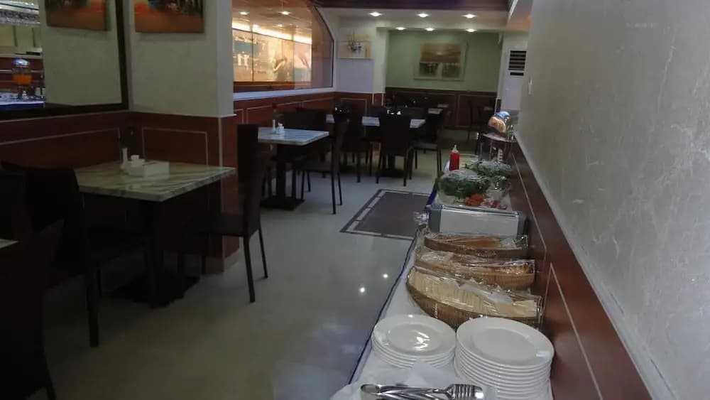 Dolphin Hotel - photo 13