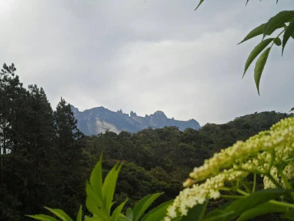 Ayana Holiday Resort - photo 12