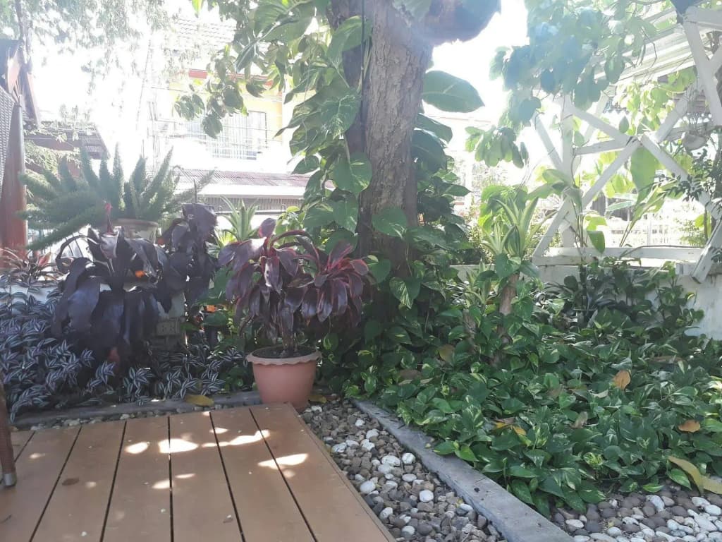 Wiriya House - photo 14