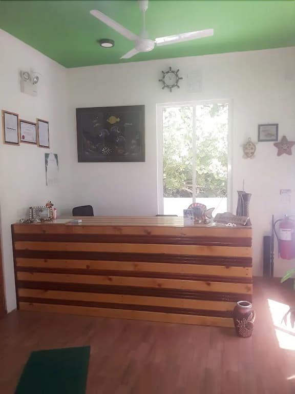 Eveyla guesthouse - photo 10